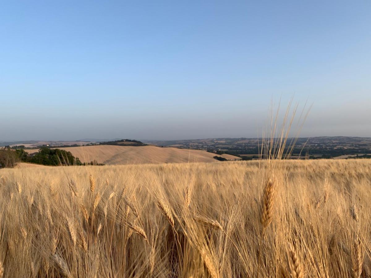 Alloggio per agriturismo Naturaverde *