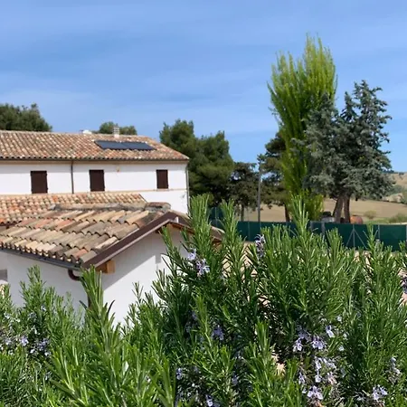 Naturaverde Country House Senigallia Exterior photo