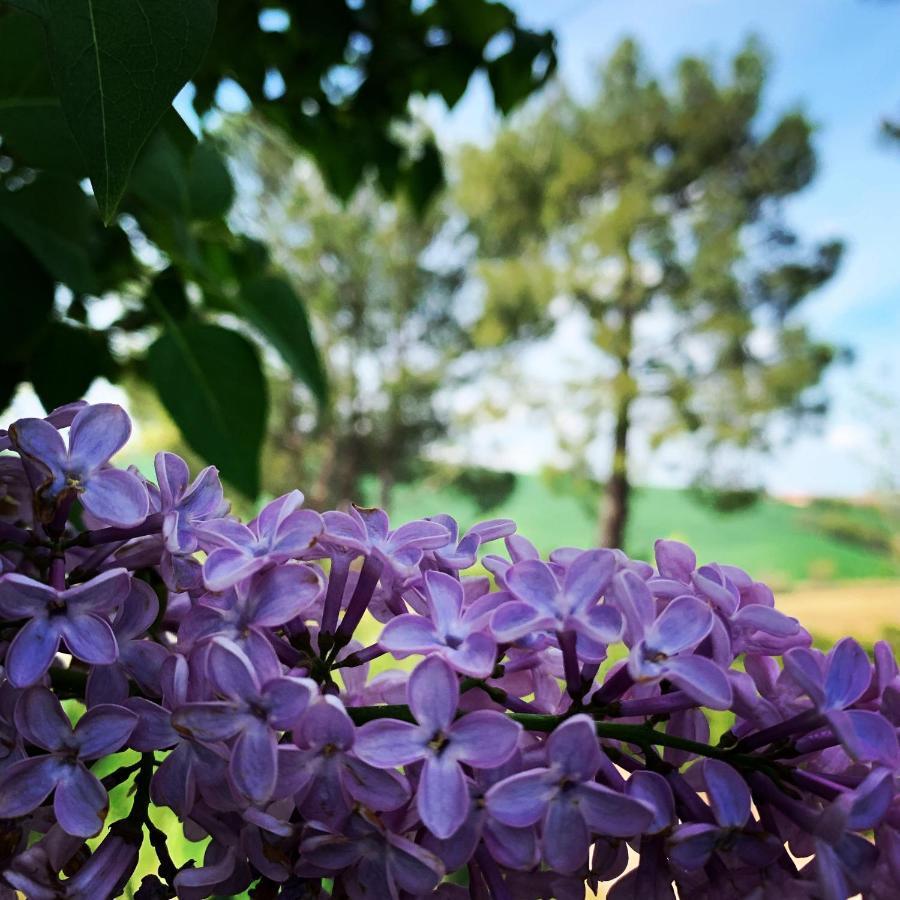 Naturaverde