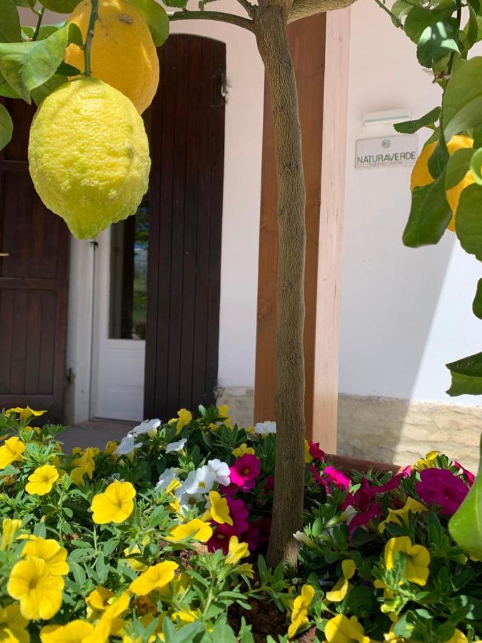 Farm stay Naturaverde Senigallia