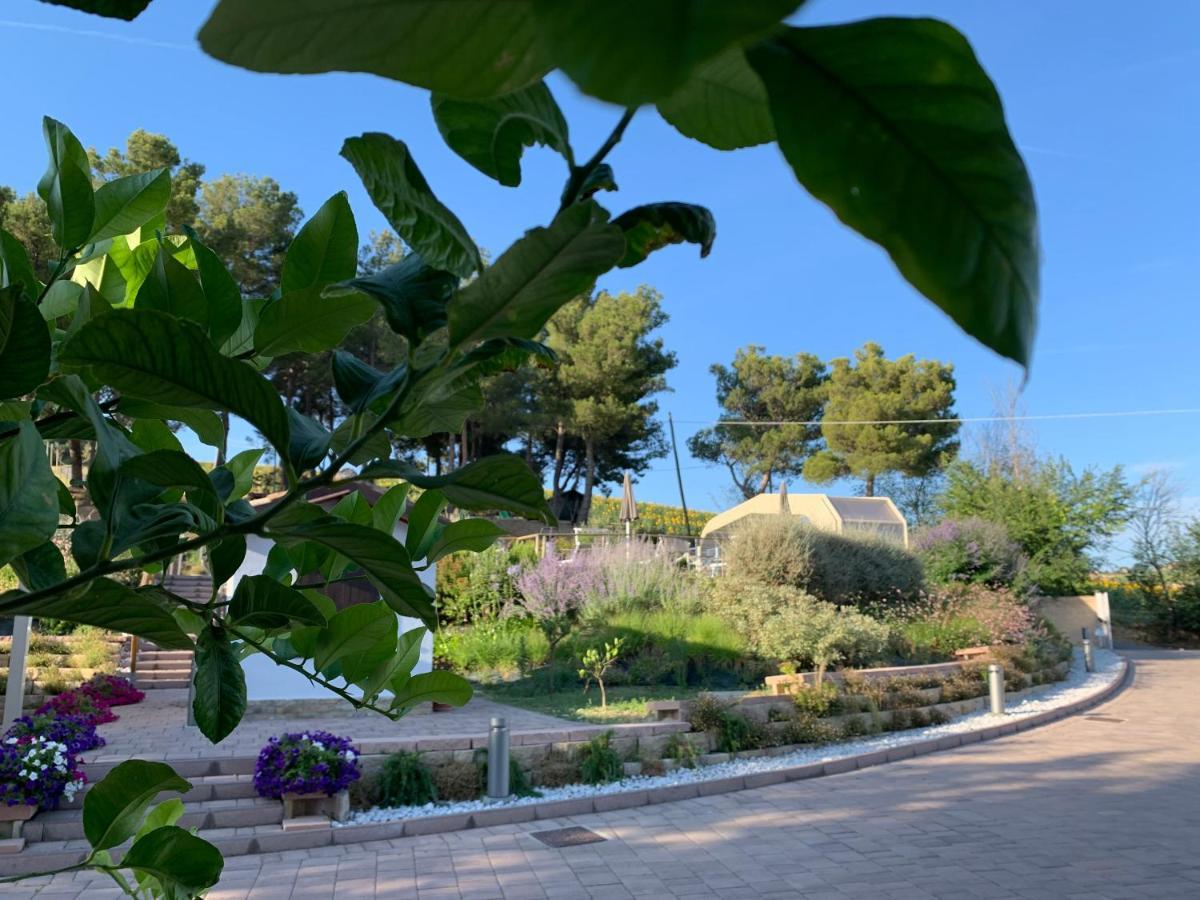 Naturaverde Farm stay *